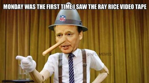 Roger Goodell NFL Ray Rice